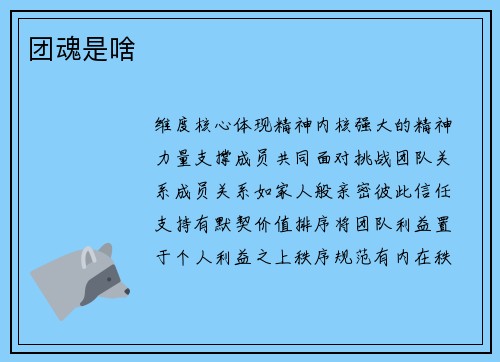 团魂是啥